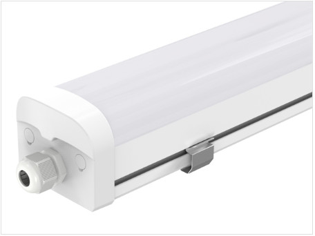 মাইক্রোওয়েভ সেন্সর সহ IP65 ওয়াটারপ্রুফ LED ট্রাই-প্রুফ লাইট 160LM/W Dualray D2 সিরিজ