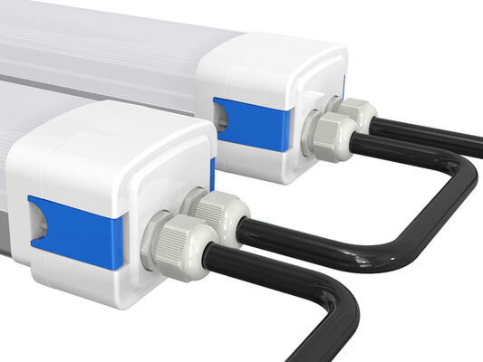 DUALRAYS D5 LED আর্দ্রতা-প্রতিরোধী আলো DIP সুইচযোগ্য শক্তি / 3CCT 160LPW দক্ষতা সহ