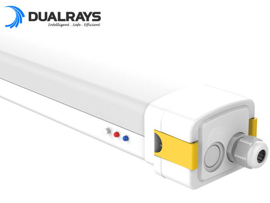 DUALRAYS ইউরোপ স্টকিং LED হাইবে ডেলিভারি নেদারল্যান্ডস থেকে সরাসরি 3 ব্যবসায়িক দিনের মধ্যে স্থানীয় বিক্রয়োত্তর সেবা সঙ্গে