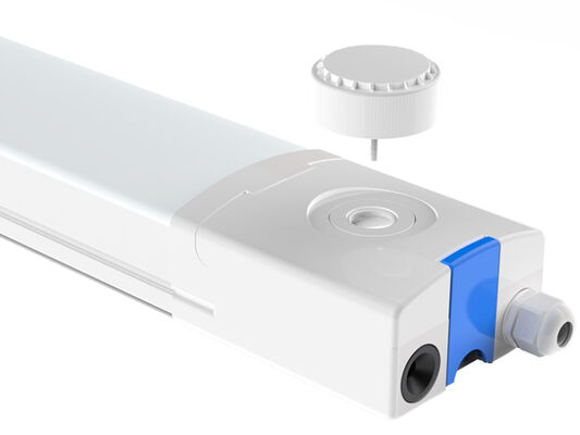 2ফুট/20W D4 LED আর্দ্রতা-নিরোধক বাতি, 160 LPW পর্যন্ত, জরুরি অবস্থার জন্য প্রস্তুত 4W@3HRS, প্লাগ অ্যান্ড প্লে, প্রকল্পগুলির জন্য নমনীয়