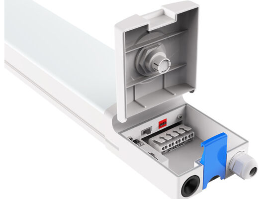 D4 LED আর্দ্রতা-নিরোধক বাতি, DIP সুইচযোগ্য পাওয়ার এবং 3CCT লুপ ইন-আউট তারের সাথে, ওয়ার্কশপ এবং গুদামগুলির জন্য উপযুক্ত, 3*1.5/2.5mm2 বা 5*1.5/2.5mm2 তারের মাধ্যমে