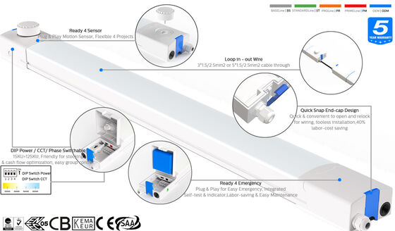 D4 LED আর্দ্রতা-নিরোধক বাতি, DIP সুইচযোগ্য পাওয়ার এবং 3CCT লুপ ইন-আউট তারের সাথে, ওয়ার্কশপ এবং গুদামগুলির জন্য উপযুক্ত, 3*1.5/2.5mm2 বা 5*1.5/2.5mm2 তারের মাধ্যমে
