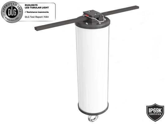 Dualray D2 সিরিজ 50W আউটডোর এবং ইনডোর LED ট্রাই প্রুফ LED ব্যাটেন লাইট 160LMW 5ft লম্বা