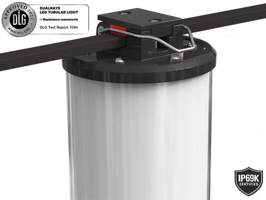 মেরিন এবং নির্মাণ কাজের জন্য IP67 সুরক্ষা এবং 5 বছরের ওয়ারেন্টি সহ 15W LED বহনযোগ্য কাজের আলো