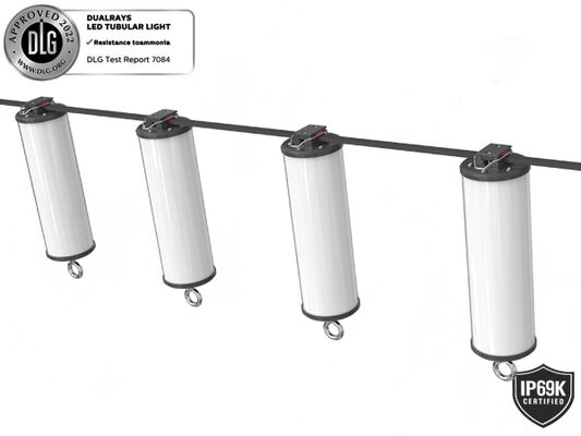 15W IP66/IP69K 140lm/W LED পোর্টেবল ওয়ার্ক লাইট সামুদ্রিক এবং অস্থায়ী আলো জন্য