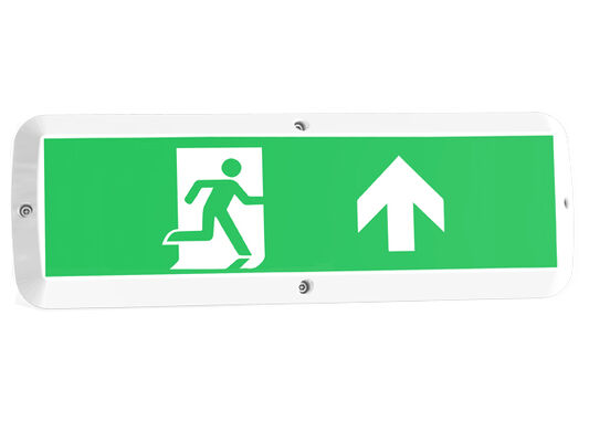 জরুরী ফাংশন এবং গতি সেন্সর IP65 সহ 8W বাল্ক হেড LED ভোরক লাইট