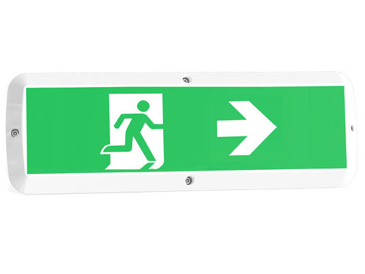 জরুরী ফাংশন এবং গতি সেন্সর IP65 সহ 8W বাল্ক হেড LED ভোরক লাইট