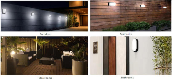 জরুরী ফাংশন এবং গতি সেন্সর IP65 সহ 8W বাল্ক হেড LED ভোরক লাইট