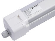 DUALRAYS D5 LED ট্রাই প্রুফ লাইট 4ft 40W 160LPW দক্ষতা 0-10V ডালি ডিমিং