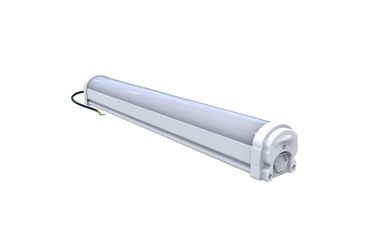 Dualrays D2 সিরিজ 5FT 50W LED ট্রাই প্রুফ ল্যাম্প 1 থেকে 10VDC DALI Zigbee Diming ঐচ্ছিক IP66 IK10