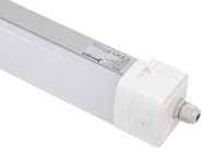 Dualrays D5 50W 5 ft Epistar LED ট্রাই প্রুফ লাইট IP66 IK10 LED এক্সপ্লোশন প্রুফ লাইট 160lmw দক্ষতা