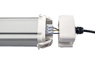 Dualrays D5 50W 5 ft Epistar LED ট্রাই প্রুফ লাইট IP66 IK10 LED এক্সপ্লোশন প্রুফ লাইট 160lmw দক্ষতা