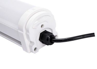 20W 2FT জলরোধী LED ত্রি প্রমাণ আলো দ্বারা গৃহীত
