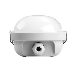Dualrays D2.5 সিরিজ 40W 4ft Luminaire প্রলিপ্ত ট্রাই প্রুফ Led 160LmW ইন্ডাস্ট্রিয়াল LED লাইটিং