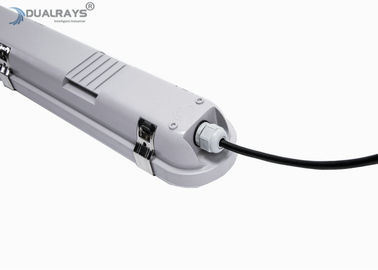 Dualrays D2.5 সিরিজ 40W 4ft Luminaire প্রলিপ্ত ট্রাই প্রুফ Led 160LmW ইন্ডাস্ট্রিয়াল LED লাইটিং