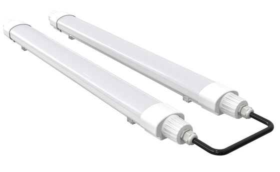Dualrays D2 সিরিজ 20W ইন্ডাস্ট্রিয়াল IP66 ডাস্ট প্রুফ লাইট ফিক্সচার IK10 সুরক্ষা ইমার্জেন্সি ডালি ডিমিং ঐচ্ছিক