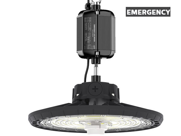 DUALRAYS HB2 DIP স্যুইচেবল পাওয়ার এবং 3CCT UFO LED Highbay Light 100W 170LPW সঙ্গে ইনস্টলেশন লুপ হ্যাঙ্গিং এবং বন্ধনী মাউন্টিং ঐচ্ছিক