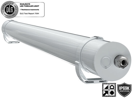 জল ধুলো বাষ্প প্রমাণ LED ট্রাই প্রুফ লাইট 160LPW 20W 30W 40W 50W PIR সেন্সর T8 টিউব প্রতিস্থাপন