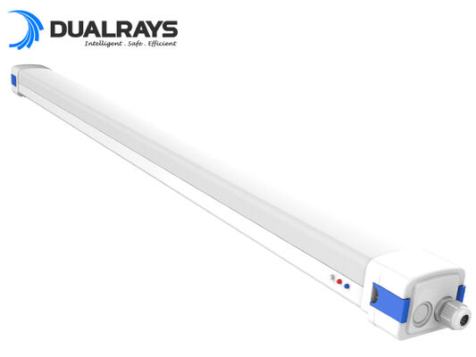 5ft/62W D5 LED ময়েশ্চার-প্রুফ লাইট ডিআইপি স্যুইচেবল পাওয়ার/3CCT 160LPW দক্ষতা 5 বছরের গ্যারান্টি